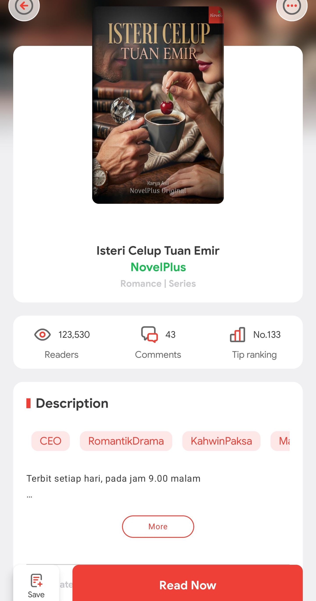 Isteri Celup Tuan Emir — story page in the NovelPlus app
